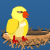 Bird Saver
