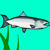 Salmon Survival