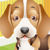 Pets Shop
